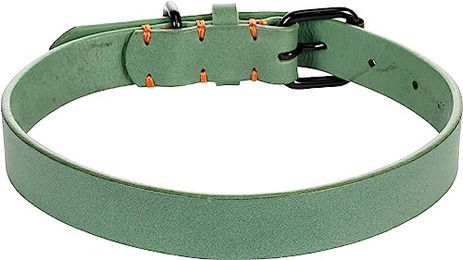 Leano Hundehalsband Flamingo Grün Leder Größe L 43-53 cm 25 mm – Bild 1 von 5