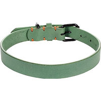 Produktbild von Leano Hundehalsband Flamingo Grün Leder Größe L 43-53 cm 25 mm