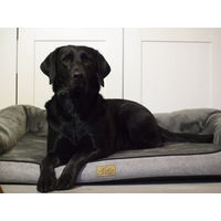Produktbild von Lebon Hundebett Balou Plus Orthopädisch Grau für mittelgroße bis große Hunde - 100 cm