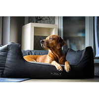 Produktbild von Lebon Hundebett Carl Plus mit Memory Foam und Liegedecke Grau 100 x 75 cm - 100 cm