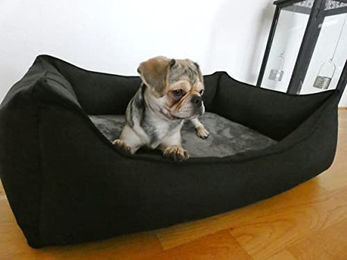 Lebon Hundebett Noah Plus Orthopädisch mit Memory Foam in Schwarz – Bild 1 von 8