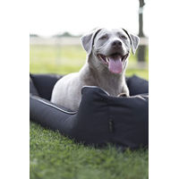 Produktbild von Lebon Hundebett Paula Plus Schwarz Orthopädisch Größe M aus Nylon