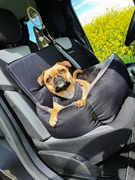Lebon Siggi Hundereisebett Autobett mit Befestigung für kleine Hunde – Bild 1 von 9