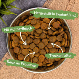 Lecker.Pet Gino's Adult Maxi Hundefutter Trockenfutter mit Huhn Getreidefrei 12 kg - 3 x 4 kg – Bild 1 von 8