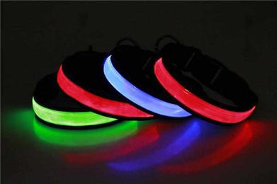 LED Hundehalsband aus Nylon in Blau Größe S wasserabweisend und wiederaufladbar – Bild 1 von 1