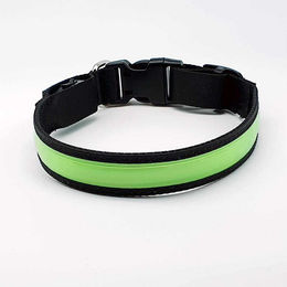 LED Hundehalsband mypfote.com aus Nylon wasserabweisend und wiederaufladbar Grün Größe S – Bild 1 von 1