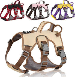 Ledander Hundegeschirr reflektierend und gepolstert beige für erwachsene Hunde – Bild 1 von 5