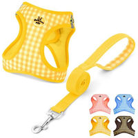 Produktbild von Ledander Hundegeschirr und Leine Set Gelb aus atmungsaktivem Mesh mit gepolsterter Weste und Reflektoren für kleine Hunde