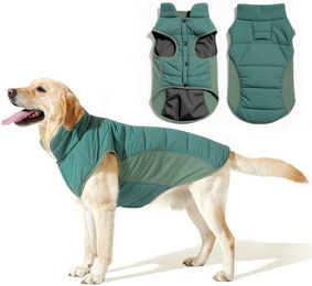 Ledander Hundemantel Winterjacke für Hunde wasserdicht und winddicht mit Fleece-Futter in Grün – Bild 1 von 5