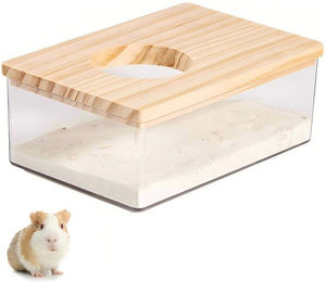 Ledander Kleintier Sandbad aus Kunststoff mit Leiter für Hamster, Chinchillas, Mäuse und Zwerghamster, transparent – Bild 1 von 5