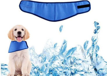 Ledander Kühlendes Hundehalsband für kleine und mittlere Hunde – Bild 1 von 3