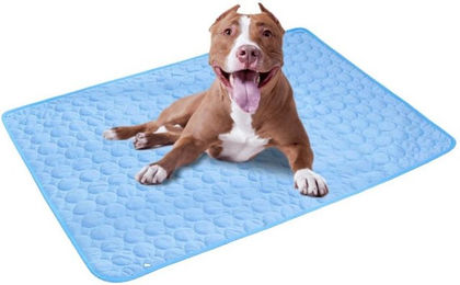 Ledander Kühlmatte für Hunde und Katzen aus Stoff, wasserdicht, Blau – Bild 1 von 5