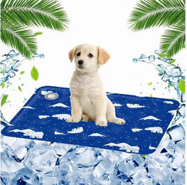 Ledander Kühlmatte für Hunde und Katzen Blau wasserdicht und waschbar für kleine Tiere – Bild 1 von 3