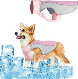 Ledander Kühlweste für Hunde Welpen Rosa Klein – Bild 1 von 2
