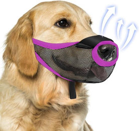 Ledander Maulkorb aus Nylon für mittelgroße und große Hunde in Lila – Bild 1 von 5
