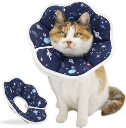 Ledander Schutzkragen Halskrause aus Kunststoff für Katzen und kleine Hunde, verstellbar, Blau/Bunt, Größe XS – Bild 1 von 5
