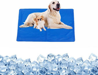 Ledander Selbstkühlende Hundematte für erwachsene Hunde blau rutschfest und kratzfest – Bild 1 von 5