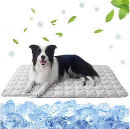 Ledander Selbstkühlende Hundematte Grau Grösse M für erwachsene Hunde – Bild 1 von 2
