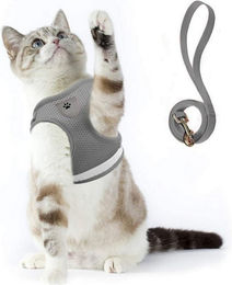 Ledander Sicherheitsgeschirr für Hunde und Katzen mit Leine, atmungsaktives Mesh-Material, reflektierend und verstellbar, Grau – Bild 1 von 5