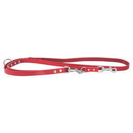 Produktbild von Leder Hundeführleine Rot 200 cm x 18 mm