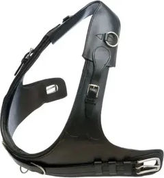 Leder-Pferdehalfter Hispano Hipica Schwarz – Bild 1 von 1