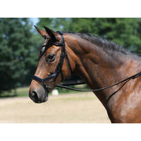 Produktbild von Leder Trense FEELING für Warmblut in Braun