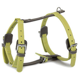 Produktbild von Lederband Geschirr Amsterdam Lime/Lava für Hunde Halsumfang 25-45 cm