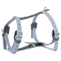 Produktbild von Ledergeschirr Amsterdam Ice/Lava für Hunde mit Halsumfang 35-55 cm in Blau und Grau