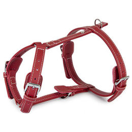Produktbild von Ledergeschirr Barcelona Indian-Red für Hunde mit Halsumfang 35-55 cm