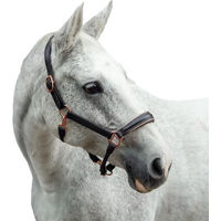 Produktbild von Lederhalfter Eternity für Pferde in Braun