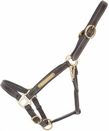 Produktbild von Lederhalfter für Pferde mit Plakette T de T in Braun