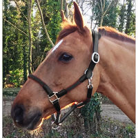 Produktbild von Lederhalfter und Seil für Pferde Cavaletti Tara in Schwarz