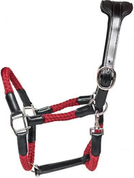 Produktbild von Lederhalfter und Seil für Pferde Cavaletti Tara Schwarz Rot