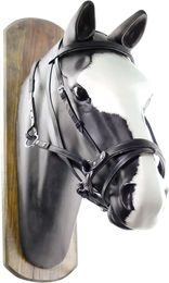 Produktbild von Lederreitzaum Umbria Equitazione Full Schwarz für Pferde