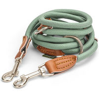 Produktbild von Leisegrün Hundeleine aus Paracord für kleine Hunde in Grün
