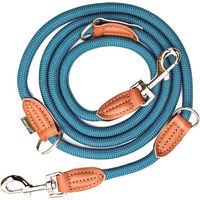 Produktbild von Leisegrün Hundeleine aus Paracord für mittelgroße und große Hunde in Türkis Blau 2m