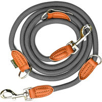 Produktbild von Leisegrün Hundeleine für große Hunde aus Nylon in Grau, 2m, wasserabweisend