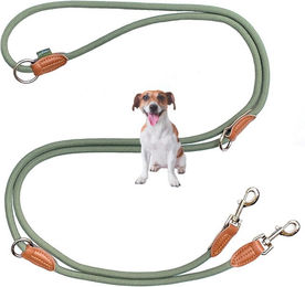 Leisegrün Hundeleine für kleine Hunde aus Nylon mit 2 Karabinern und wasserabweisender Eigenschaft 3 m – Bild 1 von 3