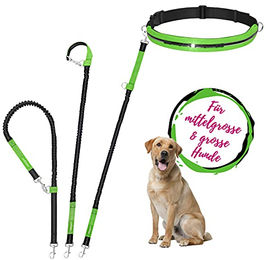 Leisegrün Joggingleine für große Hunde mit Bauchgurt und Ruckdämpfer aus Nylon in Grün – Bild 1 von 3