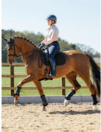 LeMieux 3D Mesh Selbstkühlende Dressurschabracke mit Netzrücken in Navy Blau Grösse L – Bild 1 von 3