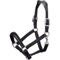 Produktbild von LeMieux Anatomisches Pferdehalfter aus Leder in Schwarz für Vollblut