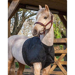 LeMieux Anti-Scheuer-Lätzchen für Pferde in Schwarz mit Widerristschutz und elastischen Bauchgurten Größe M – Bild 1 von 6