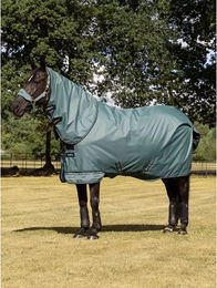 LeMieux Arika Outdoor-Pferdedecke aus Ripstop-Gewebe Grün 140 cm – Bild 1 von 1