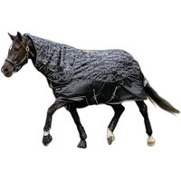 Produktbild von LeMieux Arika Reflective Turnout Outdoor-Decke für Pferde 0g Schwarz Größe 145