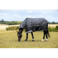 Produktbild von LeMieux Arika Reflective Turnout Pferdedecke 0g Schwarz 135