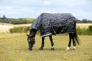 Produktbild von LeMieux Arika Reflective Turnout Pferdedecke 0g Schwarz Größe 100