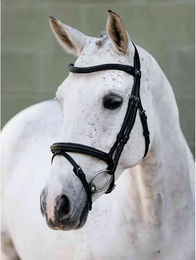 LeMieux Arika Reittrense für Ponys aus Leder in Schwarz – Bild 1 von 1