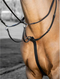 Produktbild von LeMieux Arika Renn Martingal für Pferde aus Leder in Schwarz für Ponys