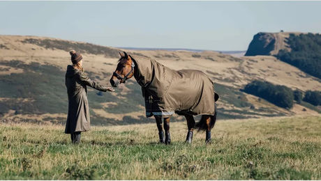 LeMieux Arika Ripstop Pferdedecke mit Halsabdeckung wasserdicht 50g Grün – Bild 1 von 11