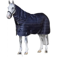 Produktbild von LeMieux Arika Stable-Tek Stalldecke für Pferde in Blau mit 200g Füllung